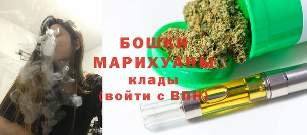 индика Богородск
