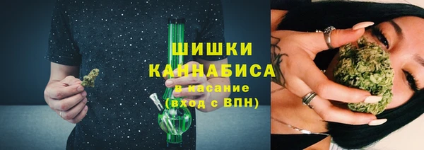 индика Богородск