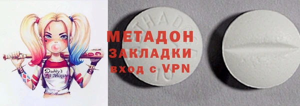 индика Богородск