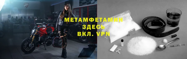 индика Богородск