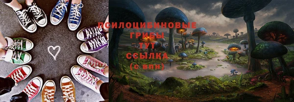 дмт Беломорск