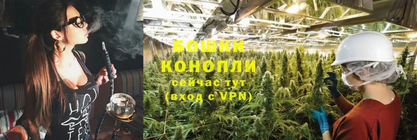 амф Богородицк