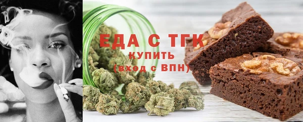 индика Богородск