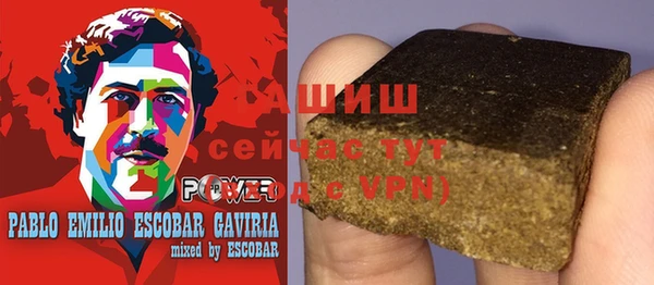 индика Богородск