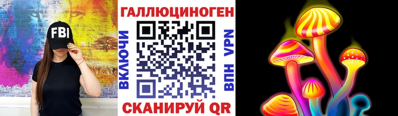 Галлюциногенные грибы мицелий  Кудрово 